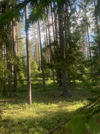 Сплав по Уксунйоки (Укса) на байдарках
