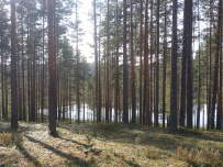 Пеший поход в Каннельярви
