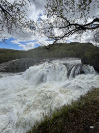 Северный прорыв: водопадные реки Кольского (Лица, Титовка, Ура, Колвица)