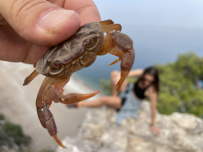 В Сердце Ликийской тропы (Поход вдоль моря, без рюкзаков)