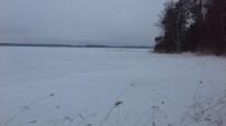 Фото из отзыва участника