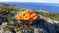 Кемские шхеры и загадочные Кузова. По белому морю на морских каяках (с лодкой)