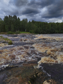 Сплав по реке Шуя