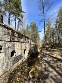 Прогулка вокруг парка Монрепо на каяках (байдарках)