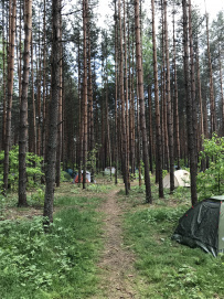 Детский турслёт