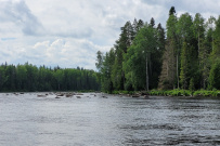 Сплав по реке Шуя