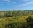 Велопоход в арт-парк Никола-Ленивец