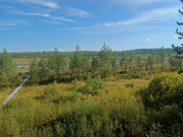 Велопоход в арт-парк Никола-Ленивец