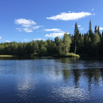 Сплав по реке Кереть и Белое море