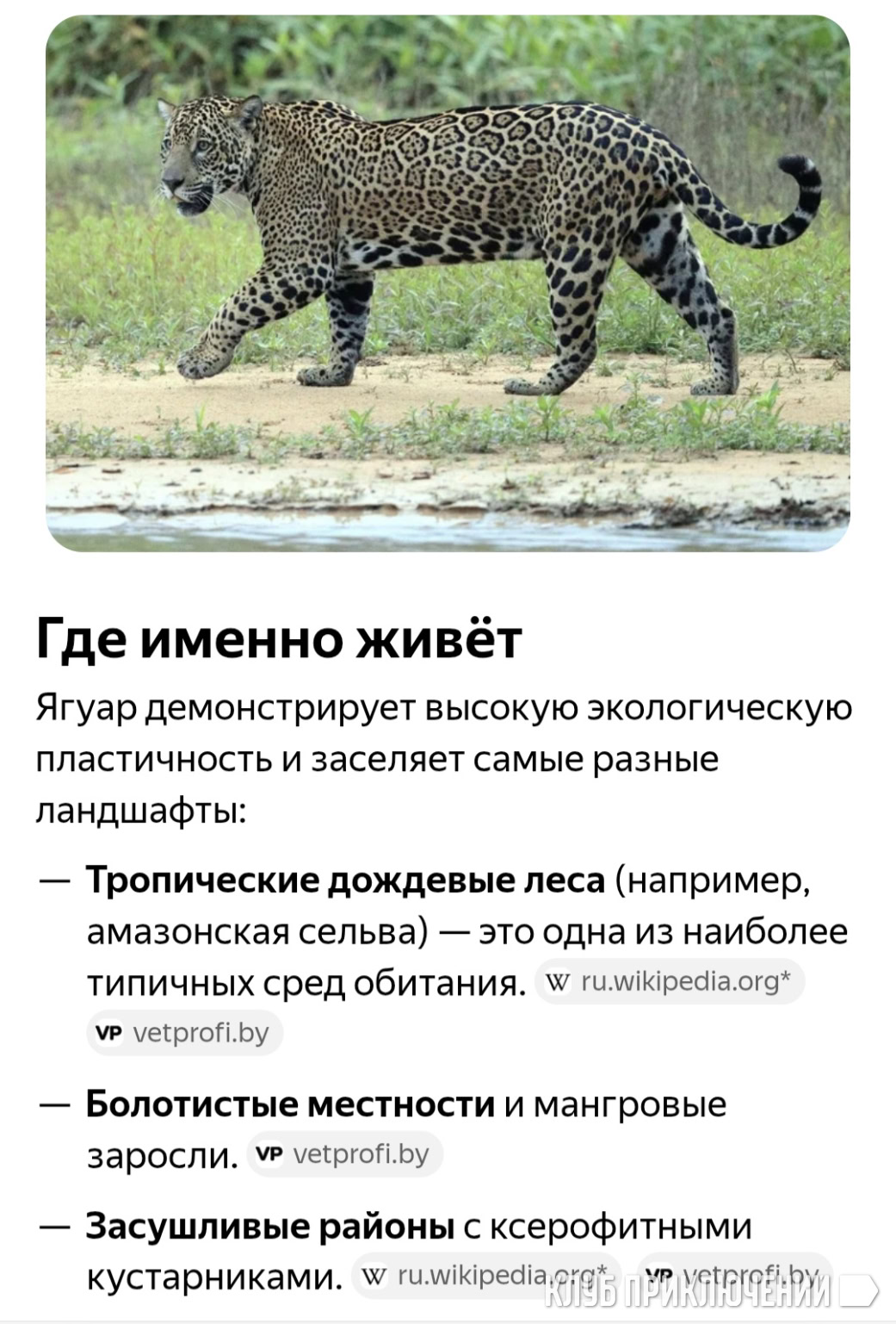 Фото из отзыва участника