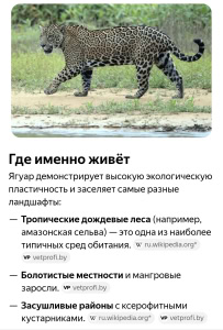 Пеший Геройский поход