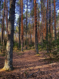Сплав по реке Киржач на байдарках с баней на берегу