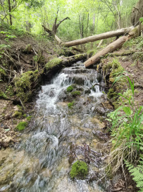 Сложный поход «Три калужских водопада» 