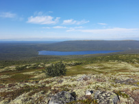 Колвица на морских каяках (байдарках). Путешествие на землю Саамов