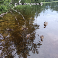 Гранатовые копи Карелии