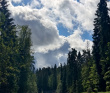 Оредеж — прогулка на байдарках (1 день)