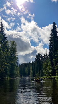 Оредеж — прогулка на байдарках (1 день)
