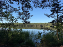 Пеший поход к Московскому морю