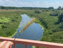Путешествие из Рогачево к Николо-Пешношскому монастырю