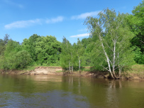 Сплав на сапборде по реке Клязьма (один день)