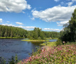 Сплав по реке Шуя
