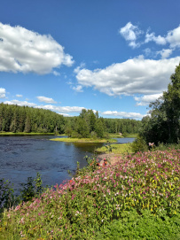Сплав по реке Шуя