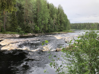 Сплав по реке Шуя