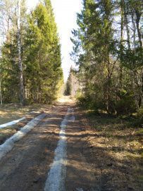 Пеший поход «Лесное путешествие» (Подмосковье)