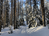 Зимний поход в Каннельярви