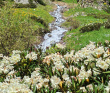 По горам Архыза: вдоль Главного Кавказского Хребта 