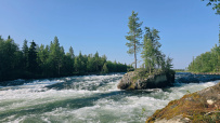Сплав по реке Умба
