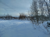 Лыжная тренировка в Ленобласти