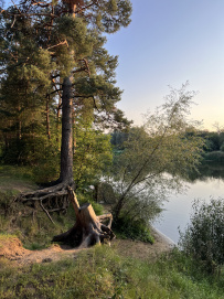 Сплав с баней по реке Клязьма