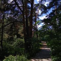 Велопрогулка «Серебряный бор» (Москва)