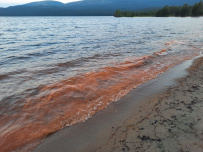 Колвица на морских каяках (байдарках). Путешествие на землю Саамов