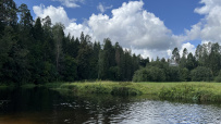 Оредеж — прогулка на байдарках (1 день)