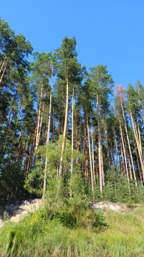 Сплав по реке Киржач на байдарках с баней на берегу