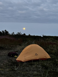 Аметистовый берег Белого моря