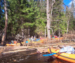 Сплав по реке Поля «Cквозь лес на байдарках»