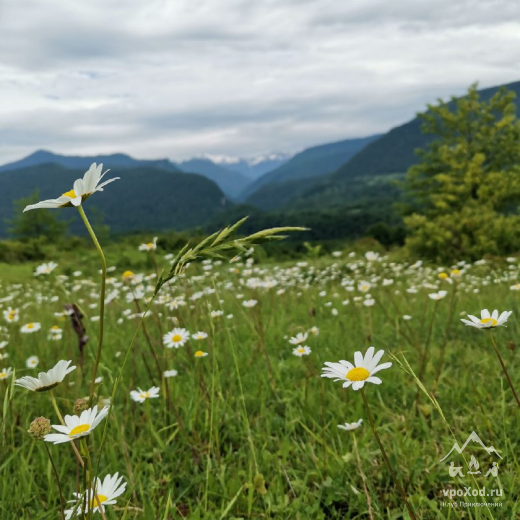 Абхазия с детьми. Горы и Море