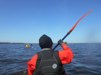 7 дней по островам и шхерам Выборгского залива на морских каяках (с лодкой сопровождения)