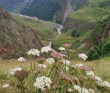 Горный лагерь на царском курорте (Джилы-су север Приэльбрусья)