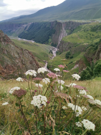 Горный лагерь на царском курорте (Джилы-су север Приэльбрусья)