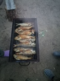 Сплав по реке Умба