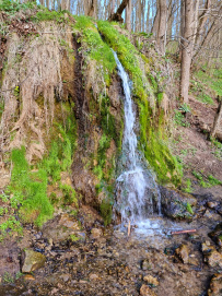 КаПешная Сотня 2.0