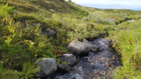 Колвица на морских каяках (байдарках). Путешествие на землю Саамов