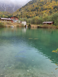 Горный лагерь в Дигории (Северная Осетия)