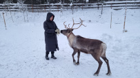 Зима за Полярным кругом (Териберка)