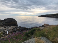 Сплав по реке Умба