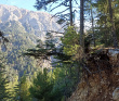 По Ликийской тропе через горы к морю (классический пеший поход)